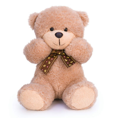 Soem kundenspezifischer Teddy Bear Plush Toys
